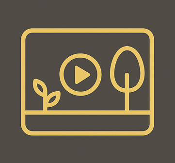 Tur Video 3D