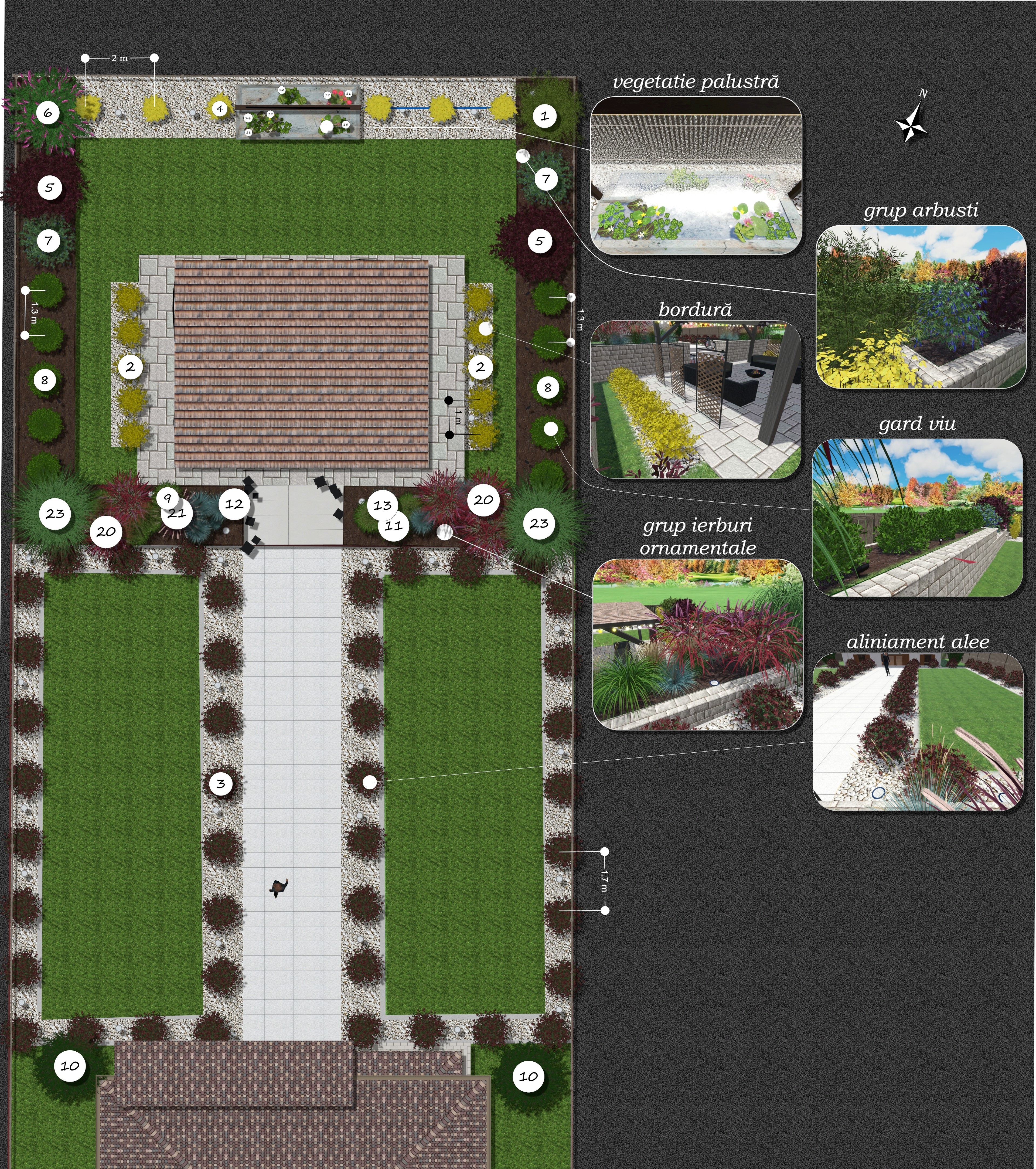 Plan Organizare Vegetală